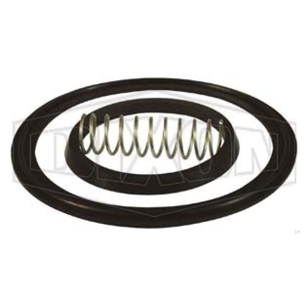 Dixon Spring Check Valve Repair Kit B46MP-RK200 - main